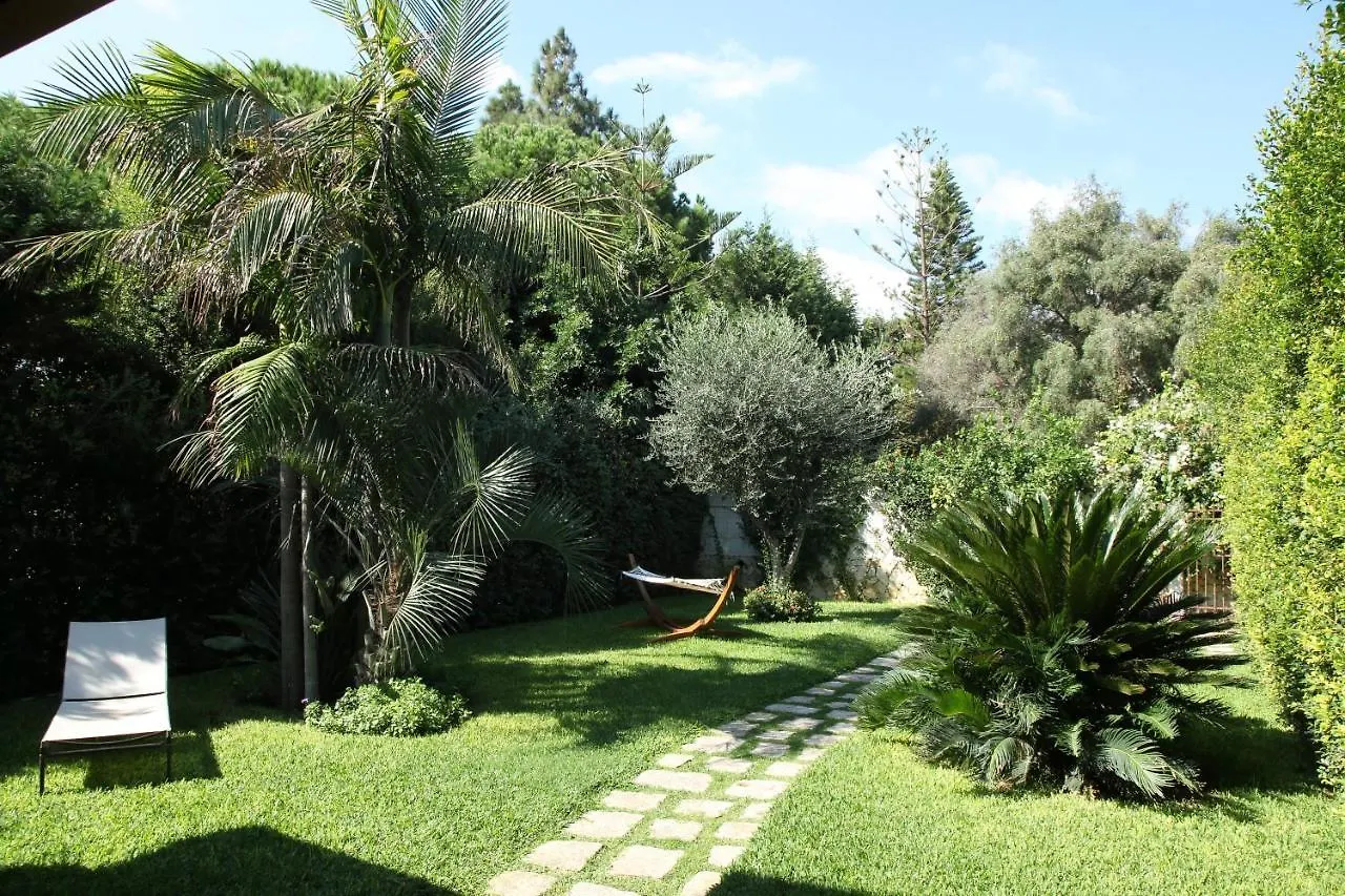 Domus Aurige Villa Messina